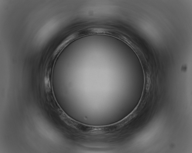 X0000091091198200708271249