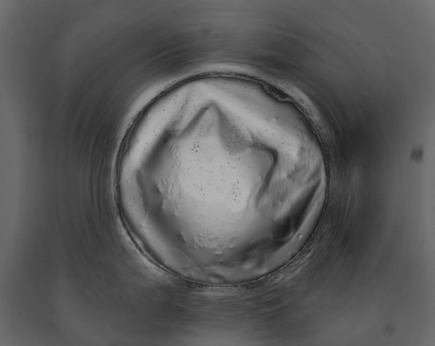 X0000091091199200708271249