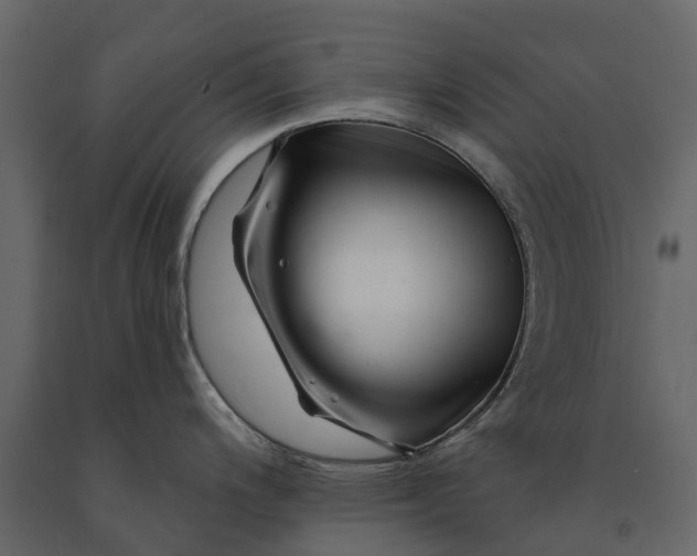 X0000091091200200708271249