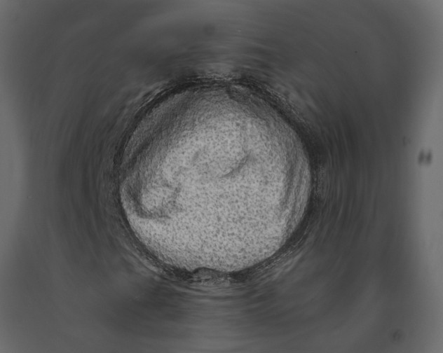 X0000091091201200708271249