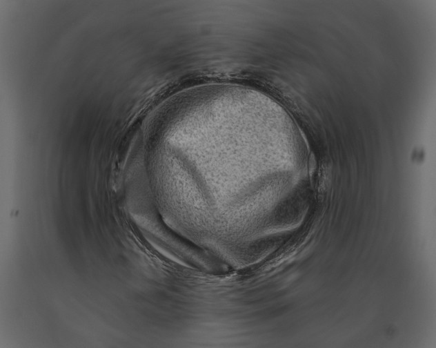 X0000091091202200708271249