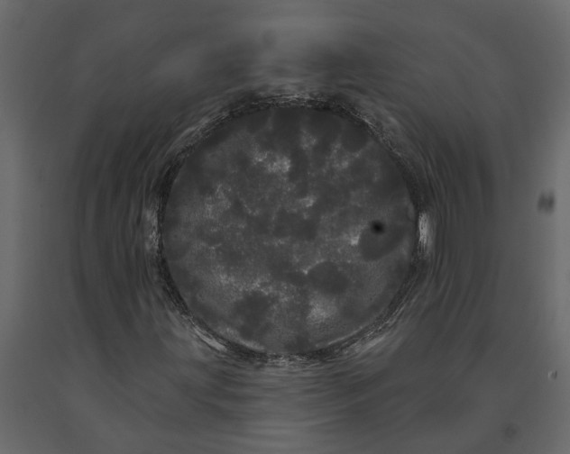 X0000091091203200708271249