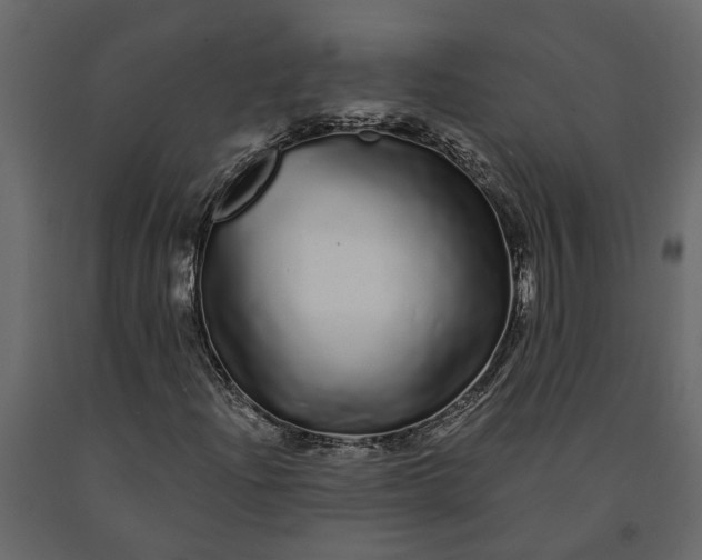 X0000091091204200708271249