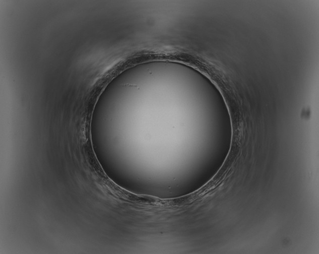 X0000091091205200708271249