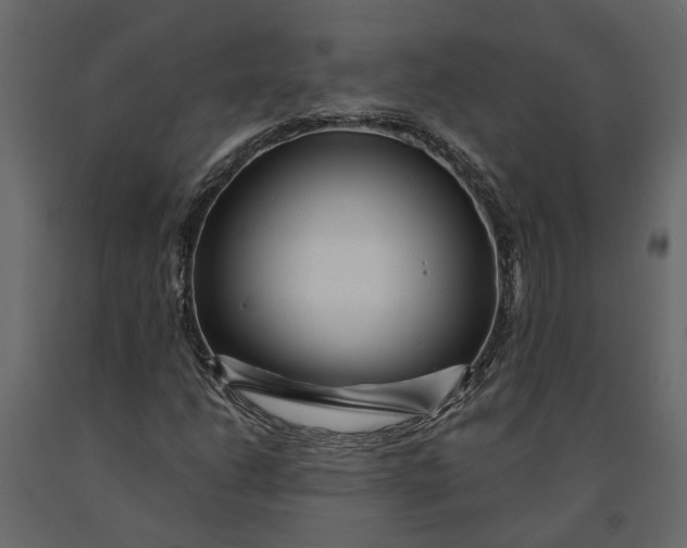 X0000091091206200708271249