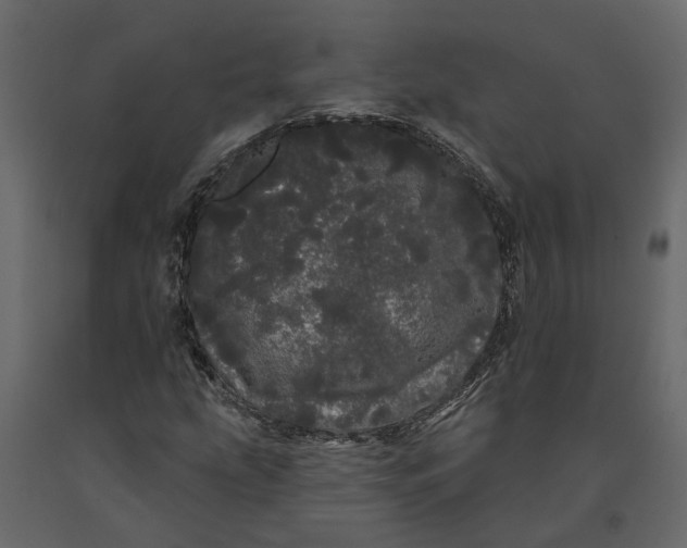 X0000091091207200708271249