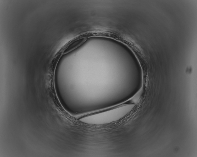 X0000091091208200708271249