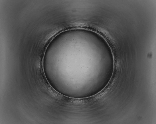 X0000091091209200708271249