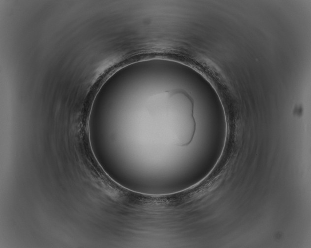 X0000091091210200708271249