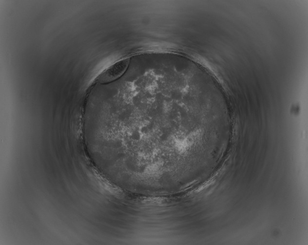 X0000091091211200708271249