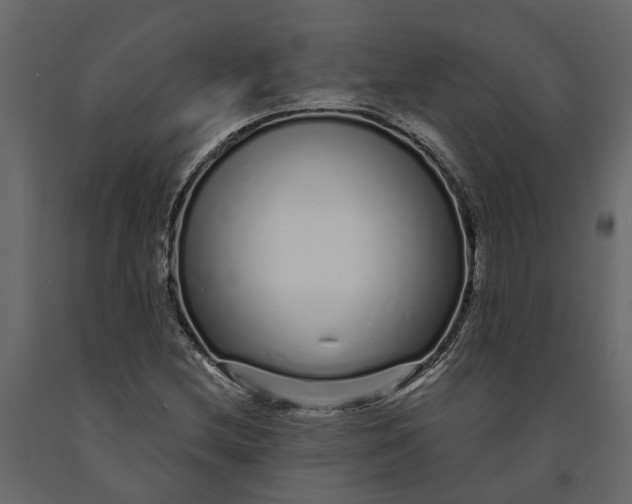 X0000091091212200708271249