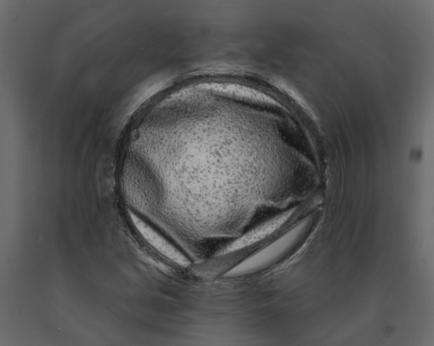 X0000091091213200708271249