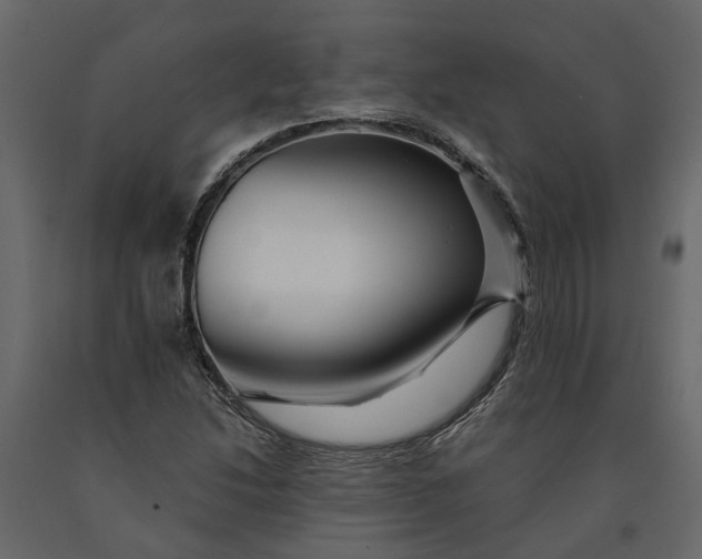 X0000091091214200708271249