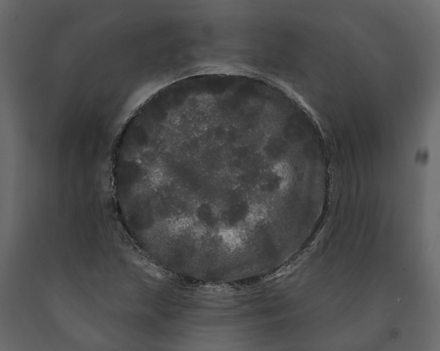 X0000091091215200708271249