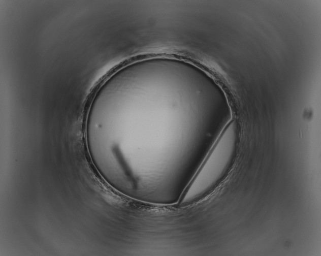 X0000091091216200708271249