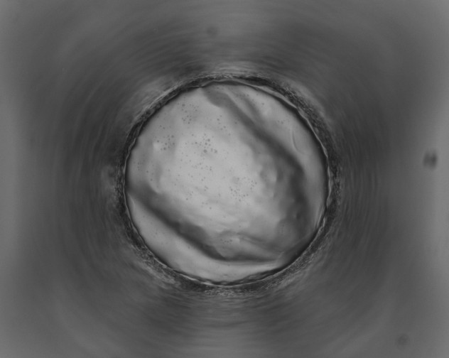 X0000091091217200708271249