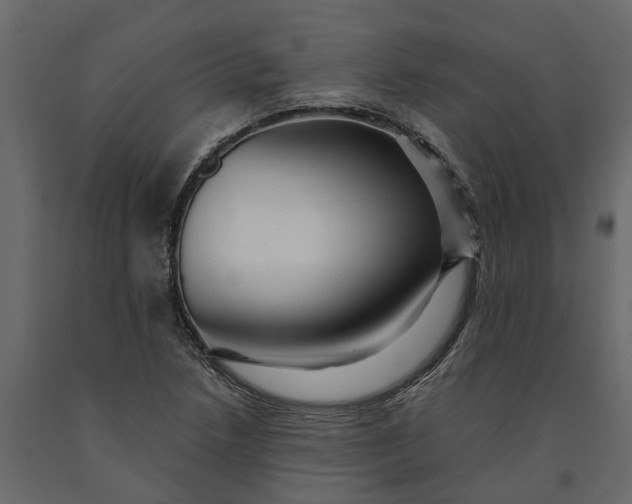 X0000091091218200708271249