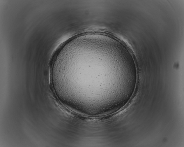 X0000091091219200708271249