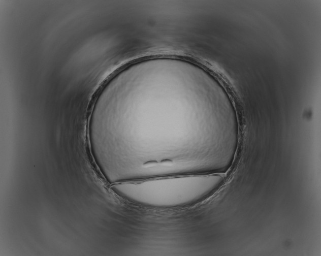 X0000091091220200708271249