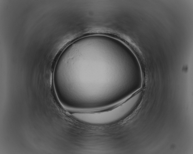 X0000091091221200708271249