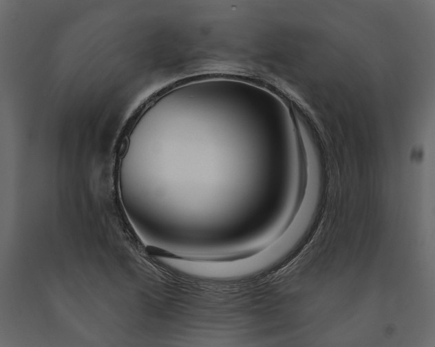 X0000091091222200708271249