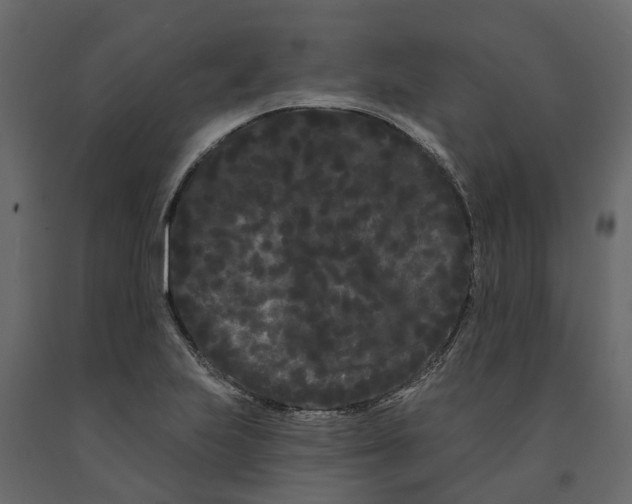 X0000091091223200708271249