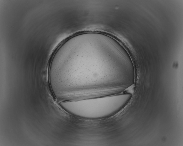 X0000091091224200708271249