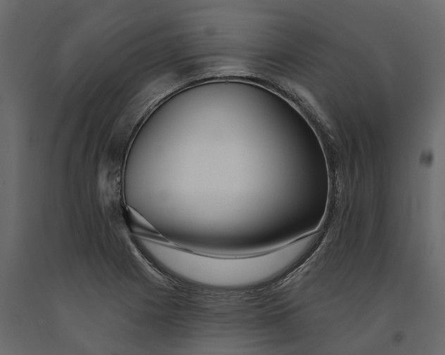 X0000091091225200708271249