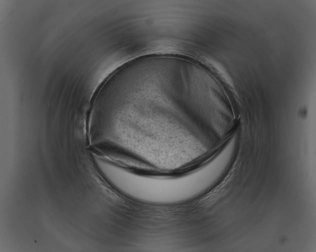 X0000091091226200708271249