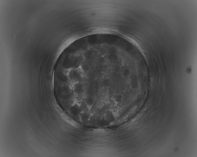 X0000091091227200708271249