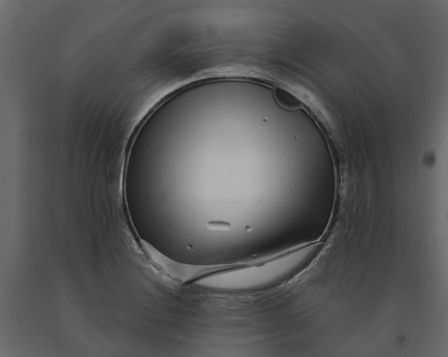 X0000091091228200708271249