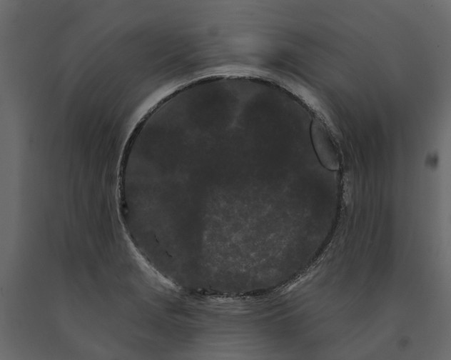 X0000091091229200708271249