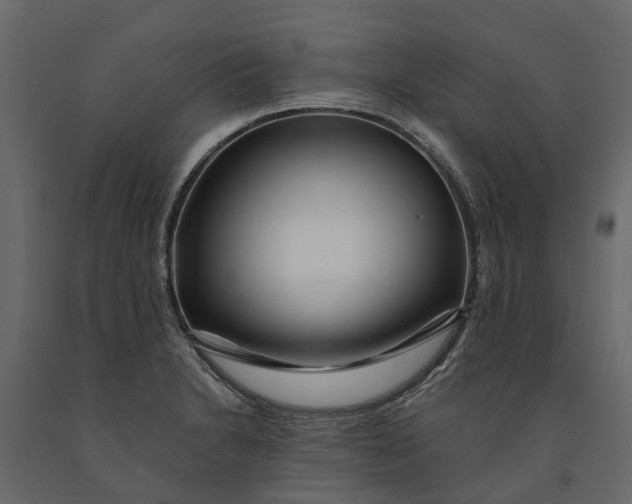 X0000091091230200708271249