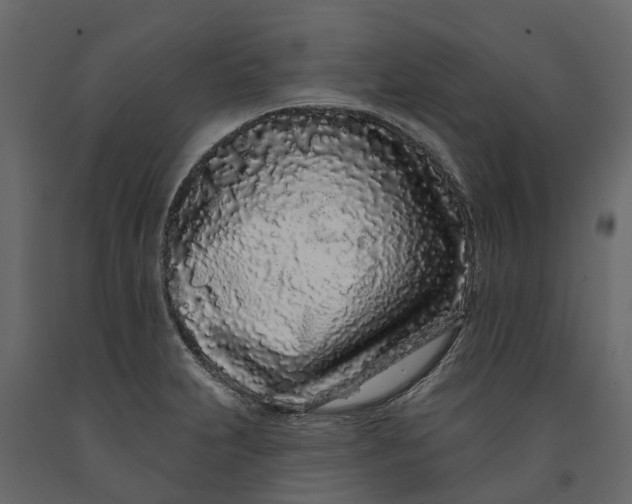 X0000091091231200708271249