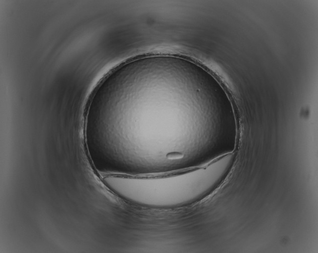 X0000091091232200708271249