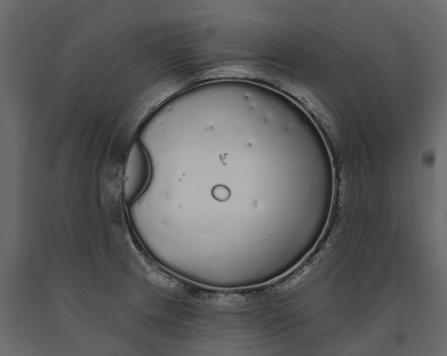 X0000091091233200708271249