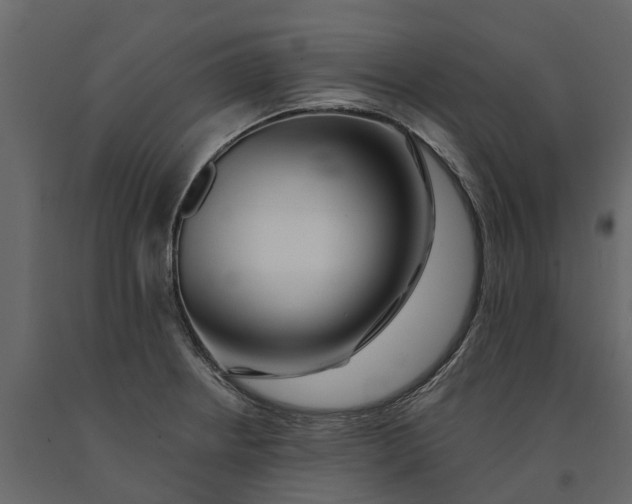 X0000091091234200708271249