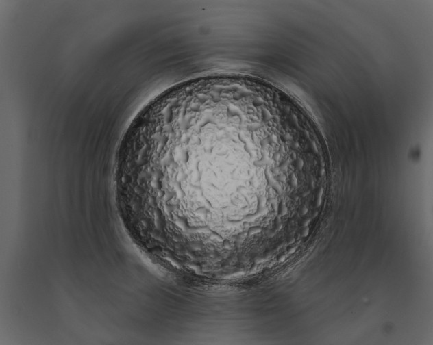 X0000091091235200708271249