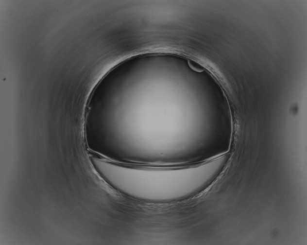 X0000091091236200708271249