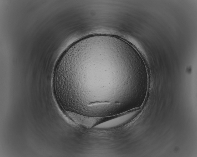 X0000091091237200708271249