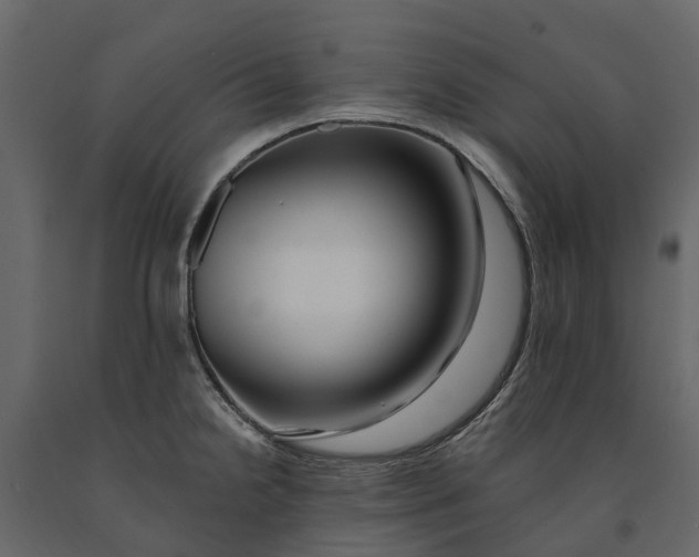 X0000091091238200708271249