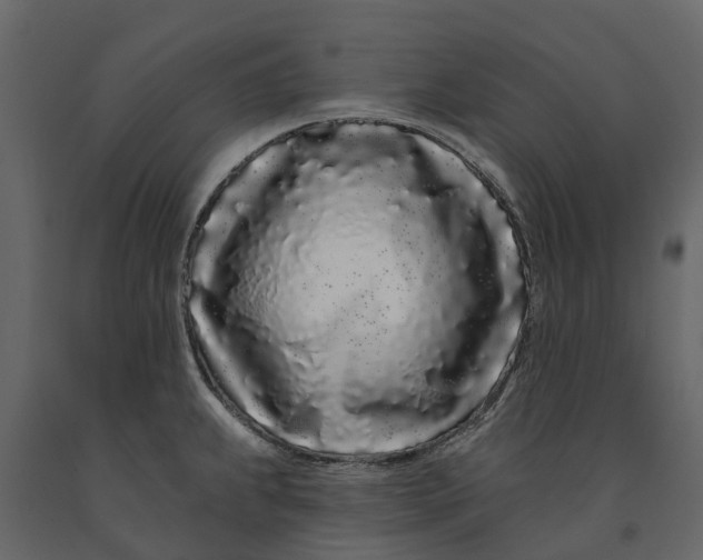 X0000091091239200708271249