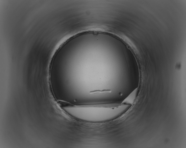 X0000091091240200708271249