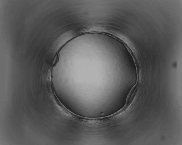 X0000091091241200708271249