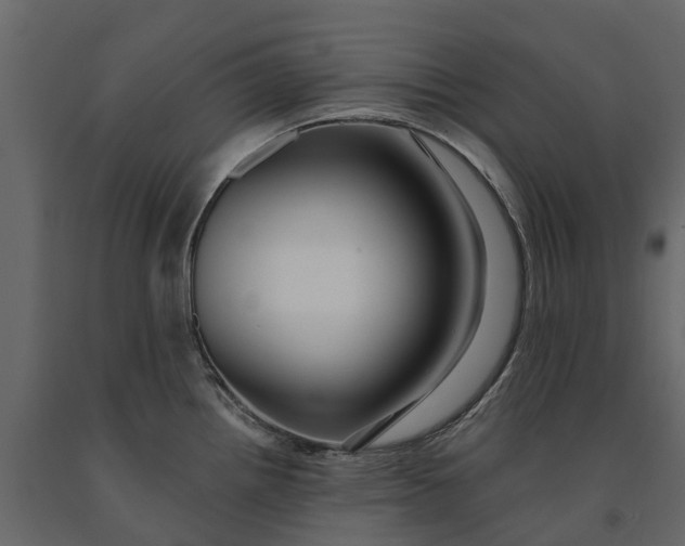 X0000091091242200708271249