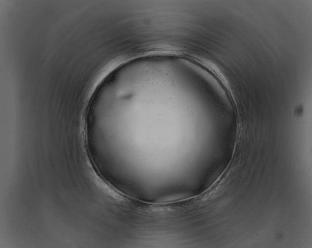 X0000091091243200708271249