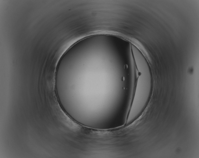 X0000091091244200708271249