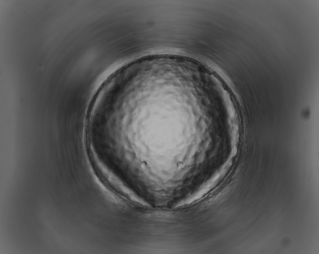 X0000091091245200708271249