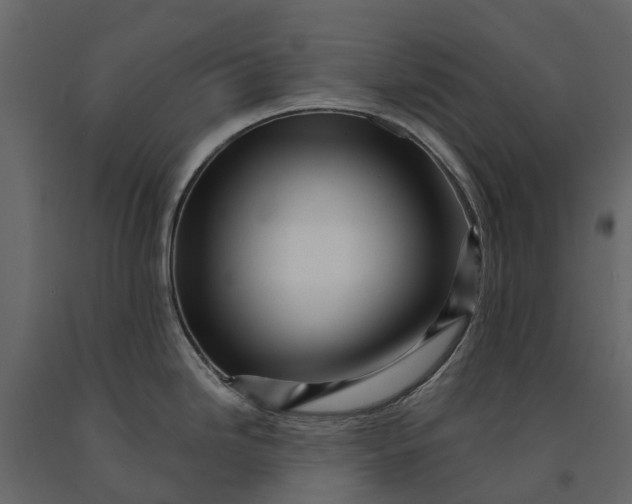 X0000091091246200708271249