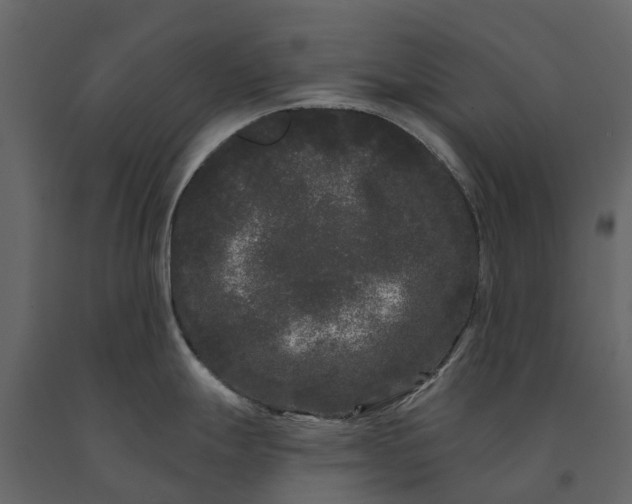 X0000091091247200708271249